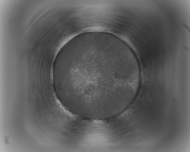 X0000101980839200808081613