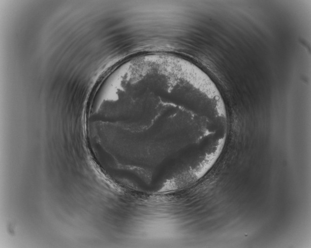 X0000101980840200808081613