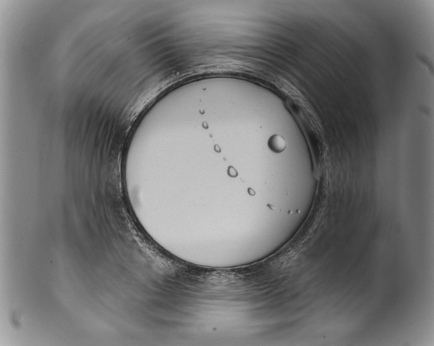 X0000101980842200808081613