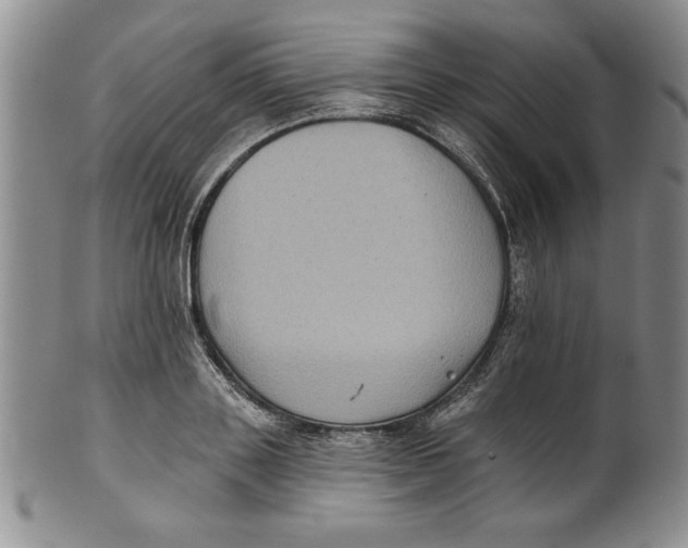 X0000101980843200808081613