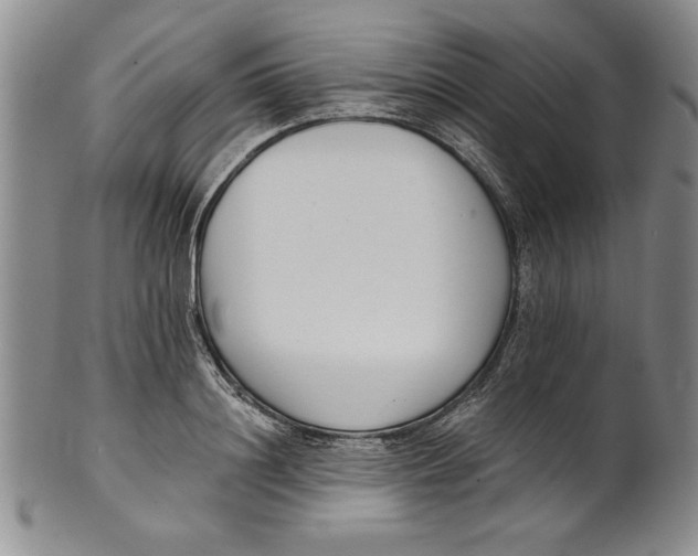 X0000101980844200808081613