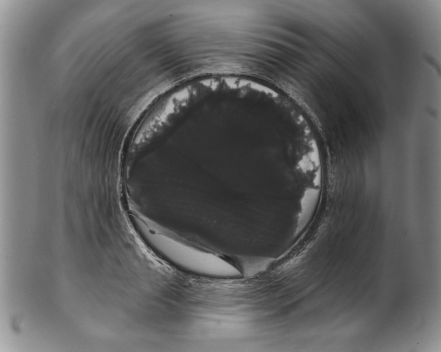 X0000101980845200808081613