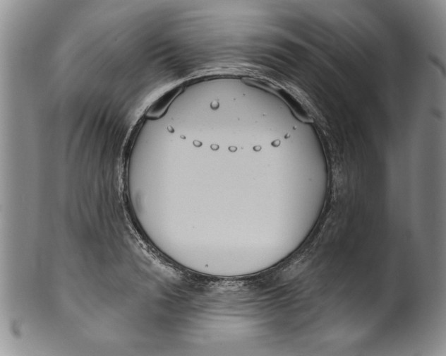 X0000101980846200808081613