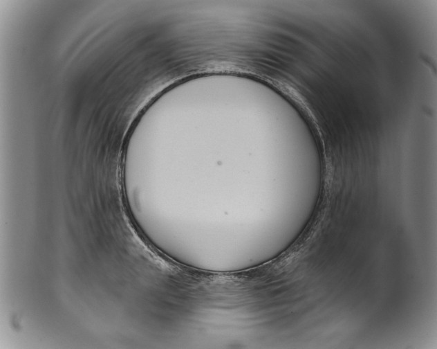 X0000101980847200808081613