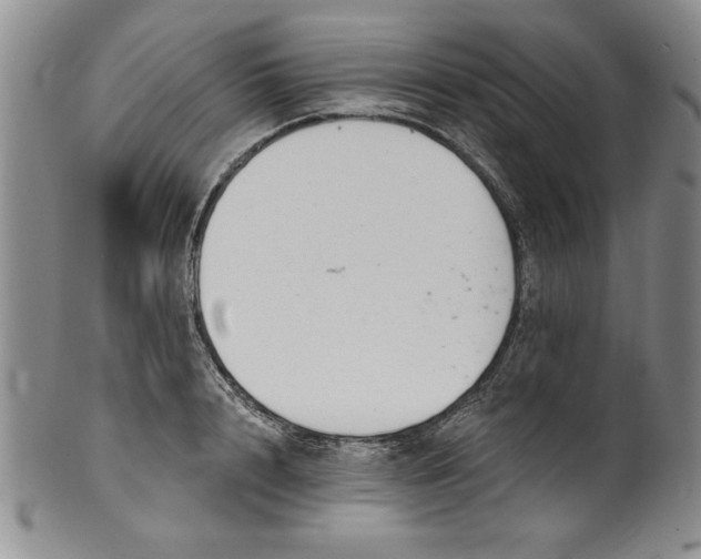 X0000101980848200808081613