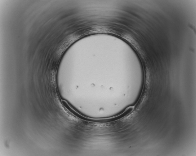 X0000101980849200808081613