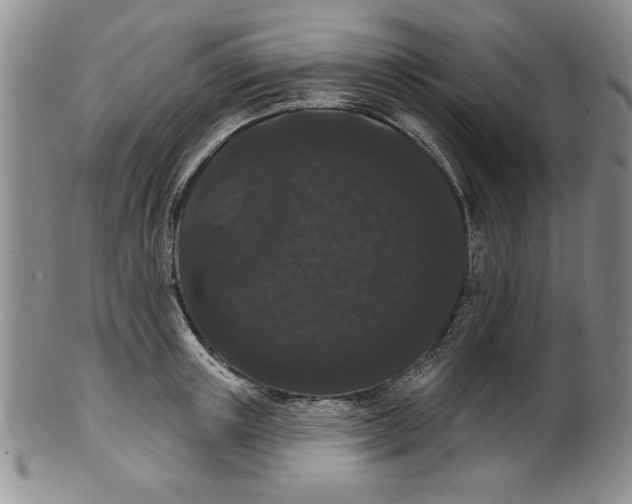 X0000101980851200808081613