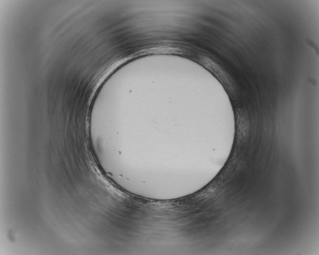 X0000101980852200808081613