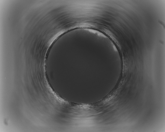 X0000101980853200808081614