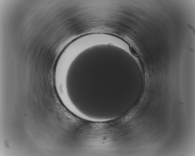 X0000101980854200808081614