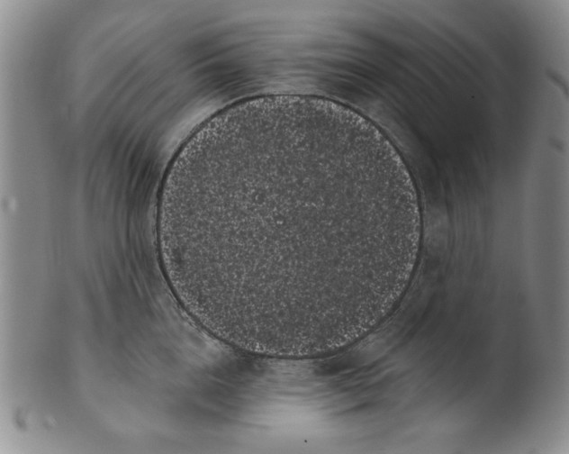 X0000101980856200808081614