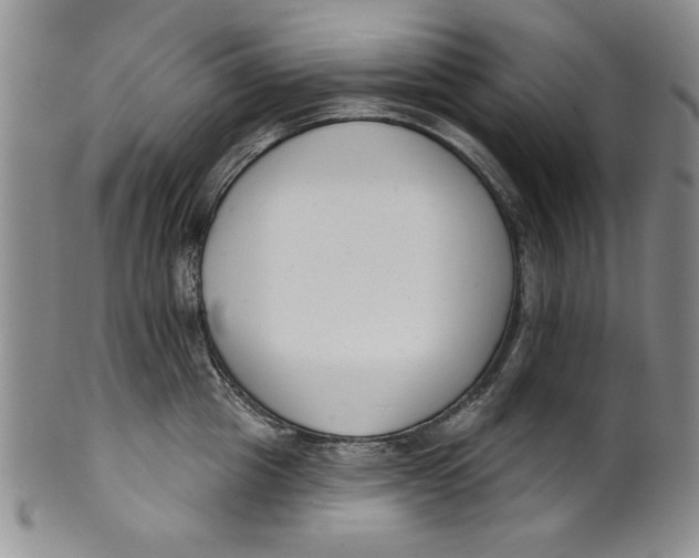 X0000101980857200808081614