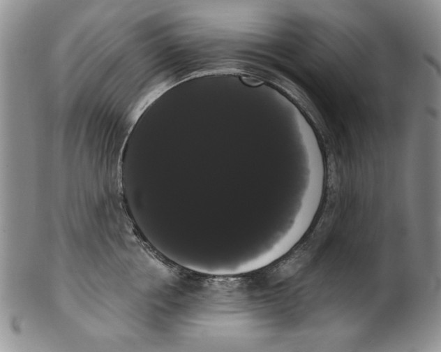 X0000101980858200808081614