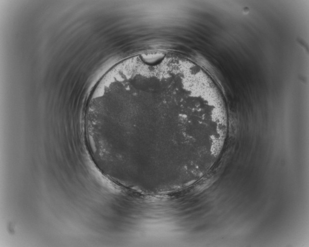 X0000101980859200808081614