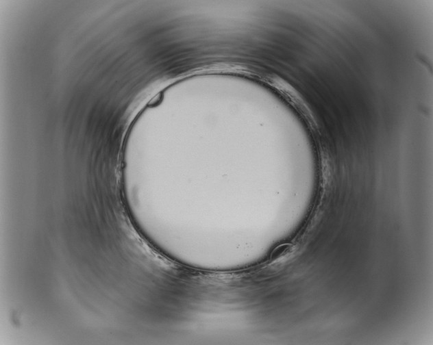 X0000101980860200808081614