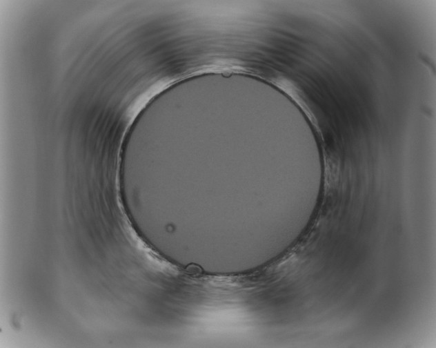 X0000101980861200808081614