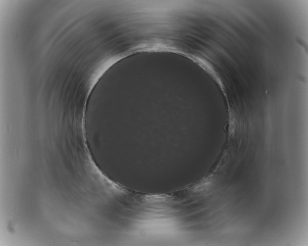 X0000101980863200808081614