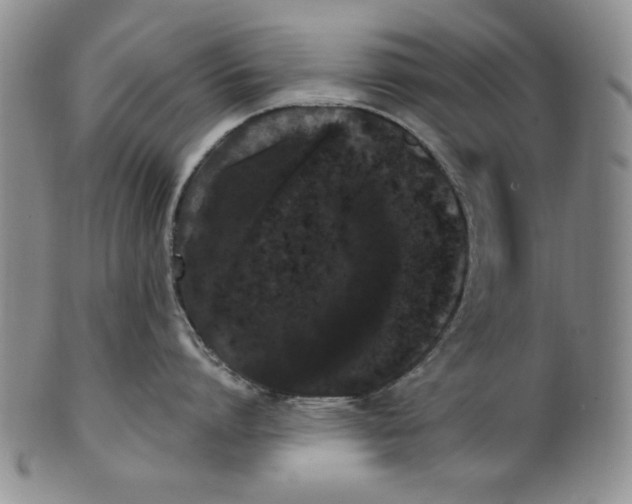 X0000101980864200808081614