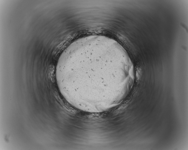 X0000101980867200808081613