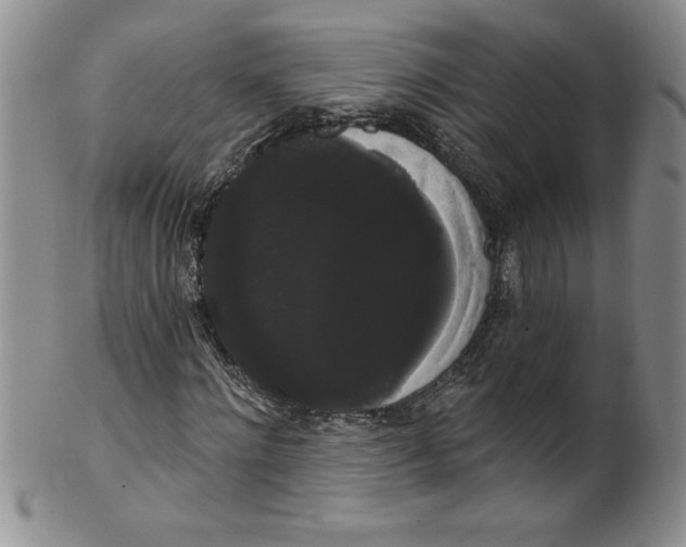 X0000101980868200808081613