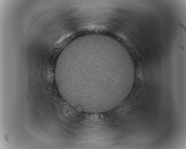 X0000101980869200808081613