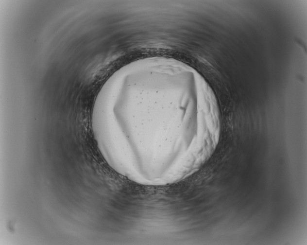 X0000101980870200808081613