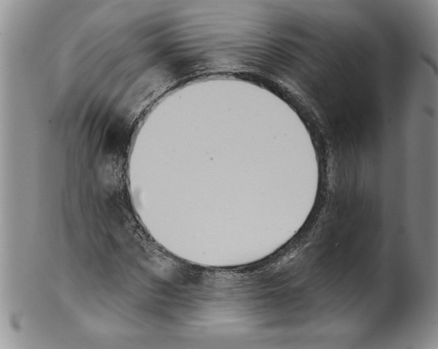 X0000101980873200808081613