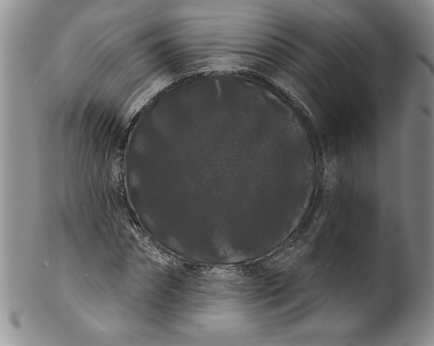 X0000101980874200808081613