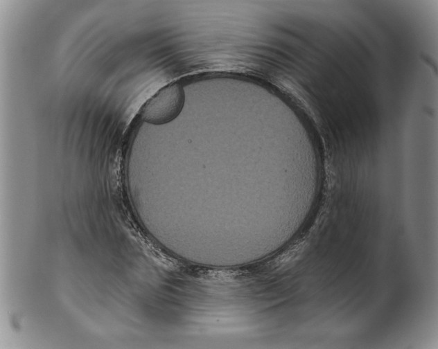 X0000101980875200808081613