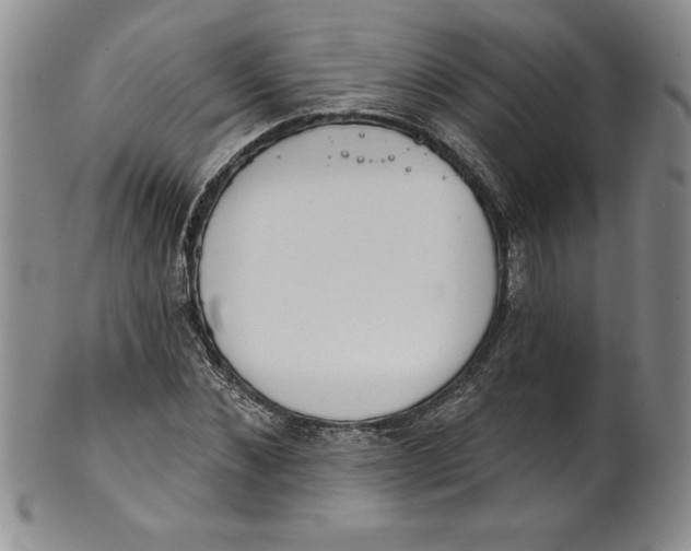 X0000101980876200808081613