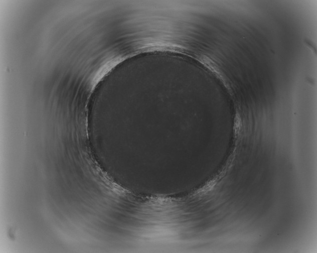 X0000101980877200808081613