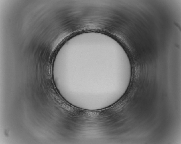 X0000101980878200808081613