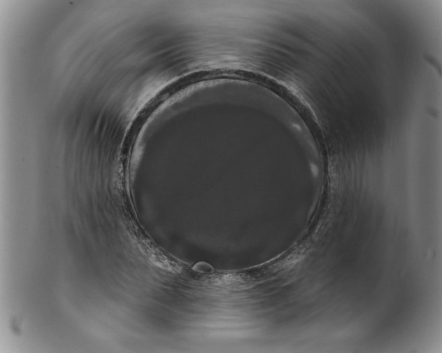 X0000101980879200808081613