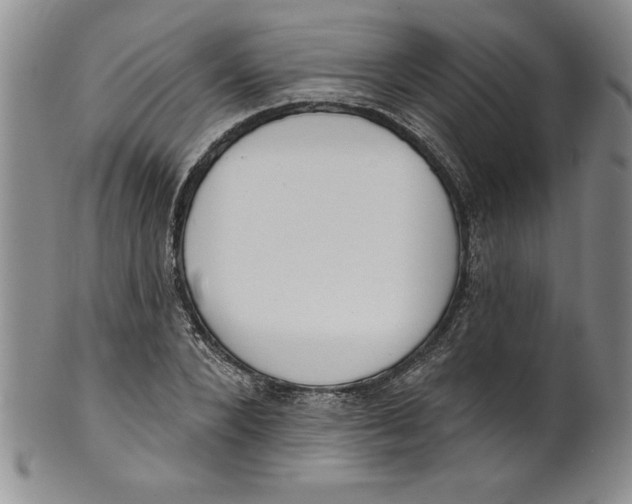 X0000101980880200808081613