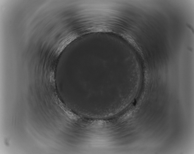 X0000101980881200808081613