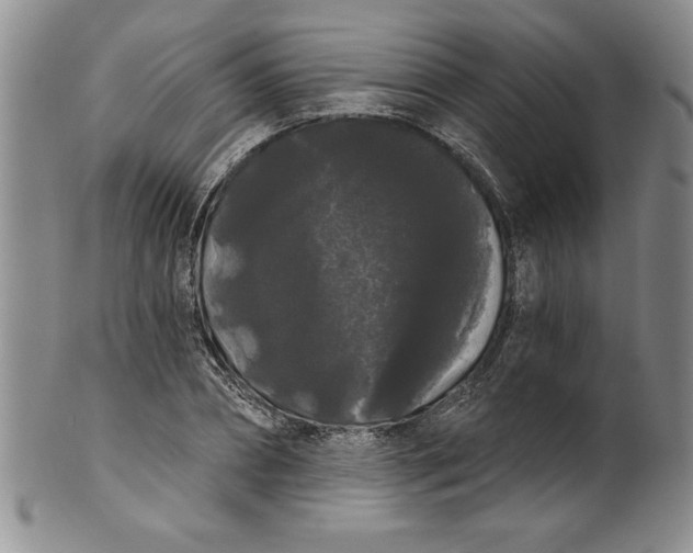 X0000101980882200808081613