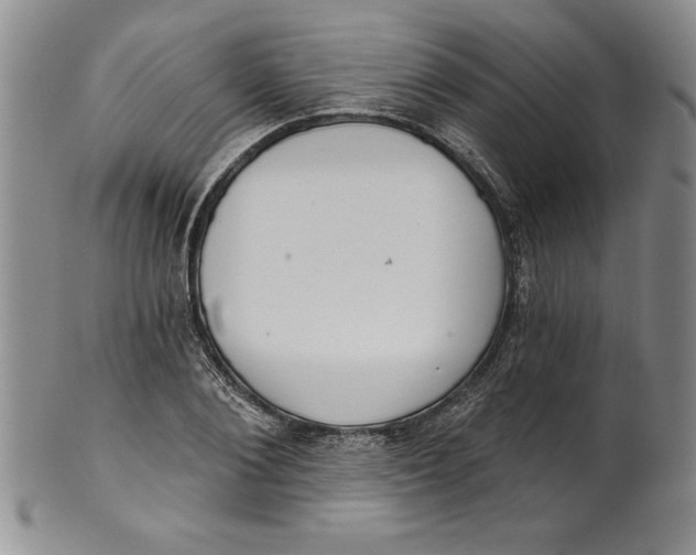 X0000101980884200808081613