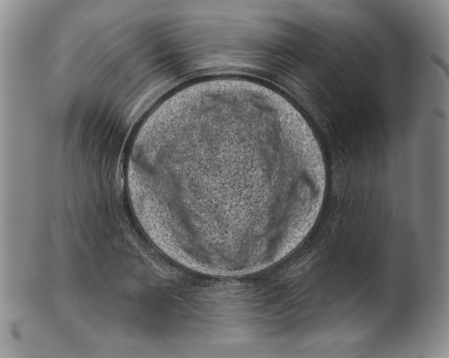 X0000101980885200808081613