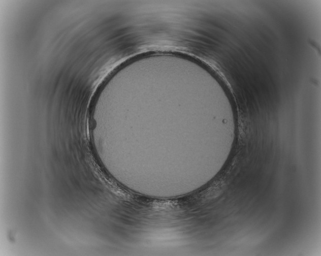 X0000101980887200808081613