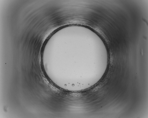 X0000101980888200808081613