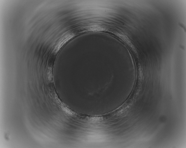 X0000101980889200808081613