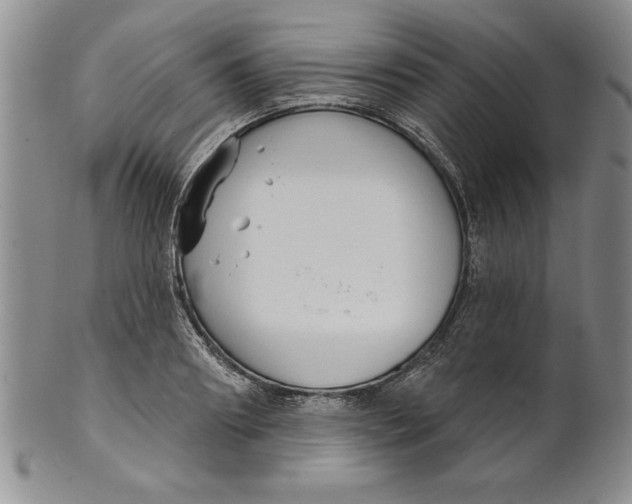 X0000101980890200808081613