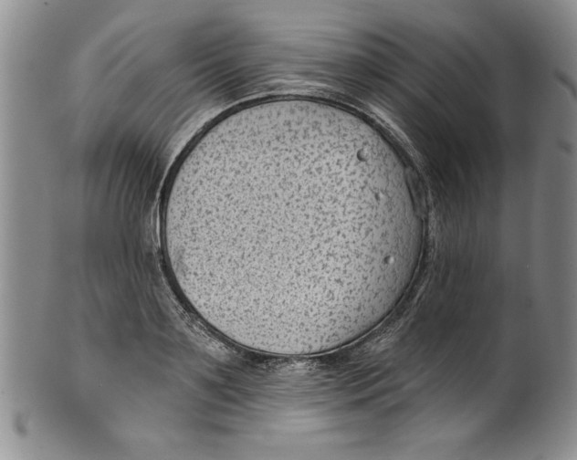 X0000101980891200808081613