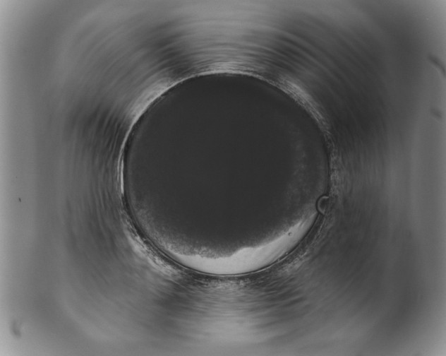 X0000101980892200808081613