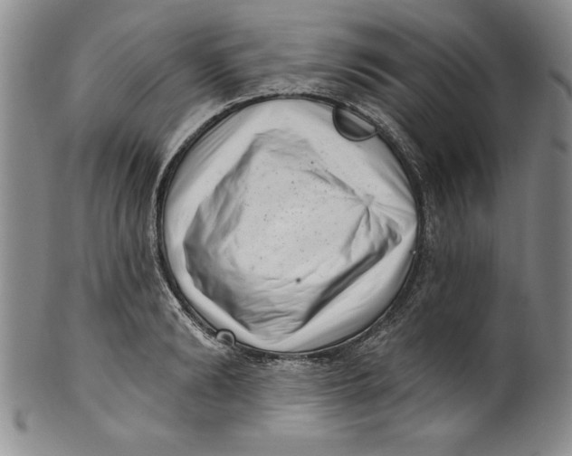 X0000101980894200808081612