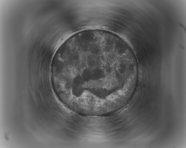 X0000101980895200808081612