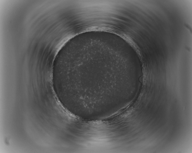 X0000101980896200808081612