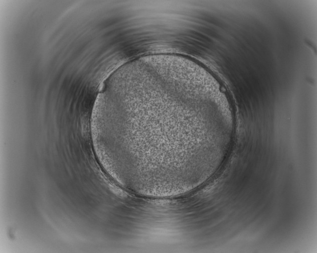 X0000101980897200808081612