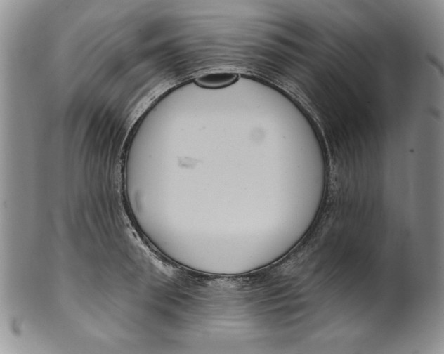 X0000101980898200808081612