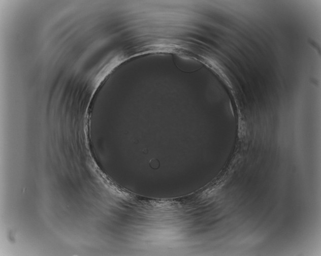 X0000101980899200808081612